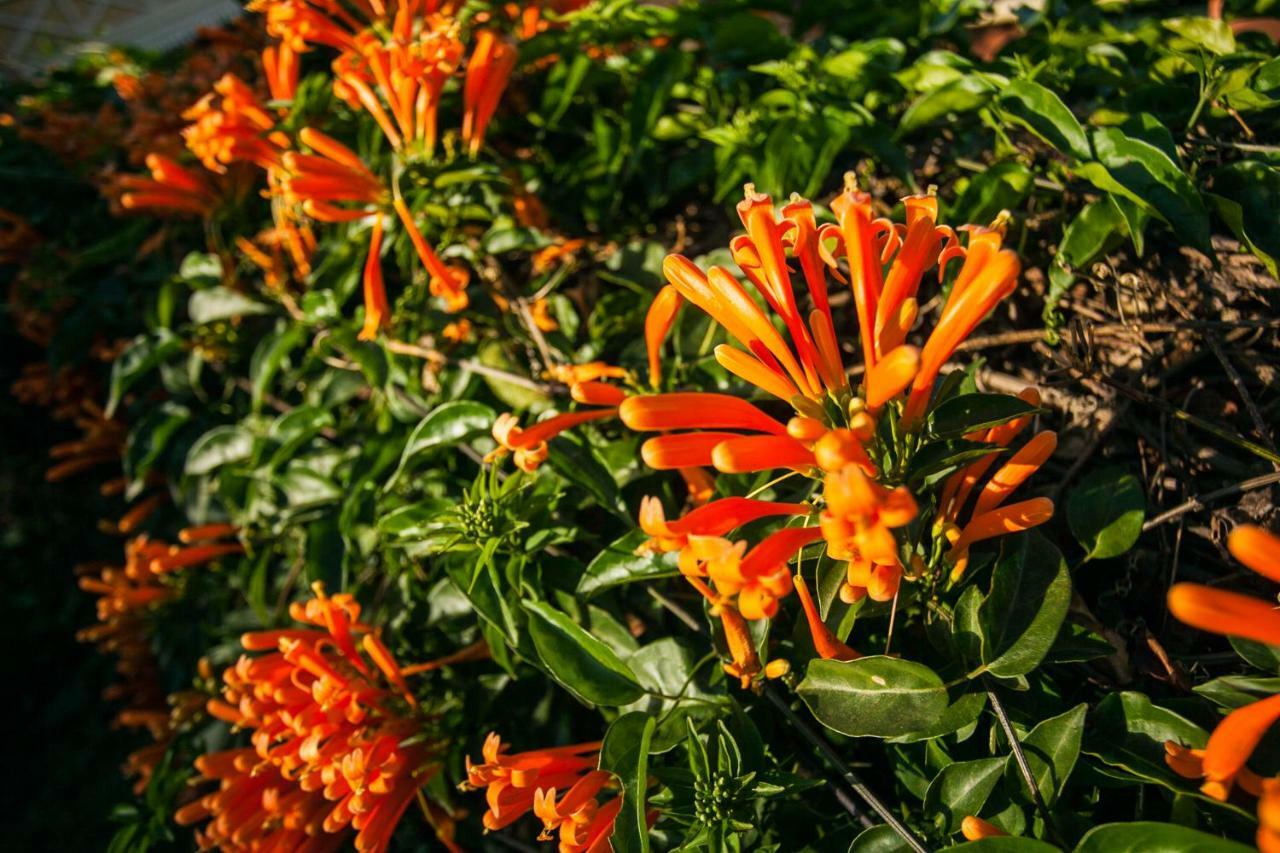 Tsara Guest House Fianarantsoa Kültér fotó